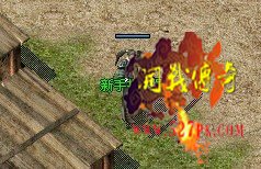 新手指导员